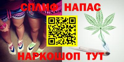 тгк Дубна