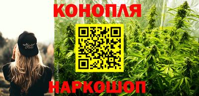 стаф Донской