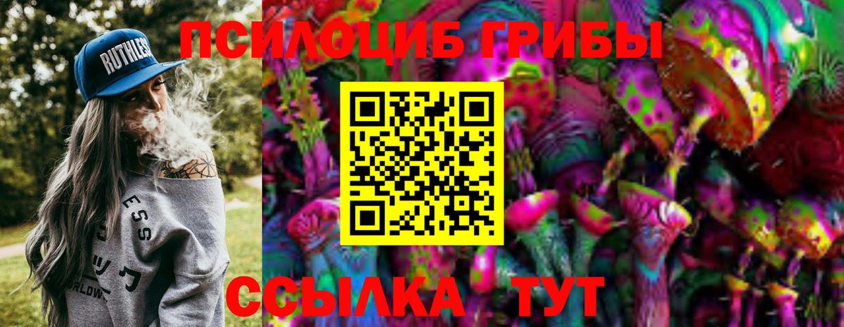 Псилоцибиновые грибы Psilocybe  Вход с VPN  Псилоцибиновые грибы GOLDEN TEACHER  Магадан 